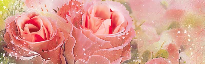 onTCg߃LOy2024NŁz̂̓RRI0005